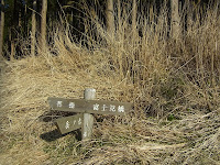 R0012425.JPG Photo