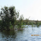 IMG_8005.JPG