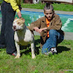 DSC04924.JPG
