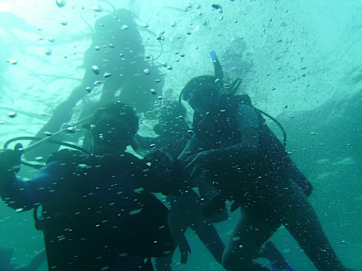 Our 3-minute safety stop 15 feet below the surface