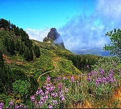 Definición y Concepto de Naturaleza Definición y Concepto de Naturaleza