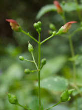 P8277585