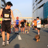Pet Express Doggie Run 2012 Philippines. Jpg (160).JPG