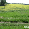 dsc06830.jpg