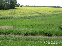 dsc06830.jpg