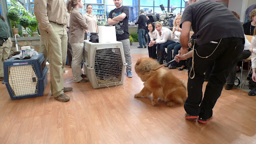 Whoa, wait a minute! Frenchies!  Where are you?  The National Wildlife Federation is here and they brought some friends!