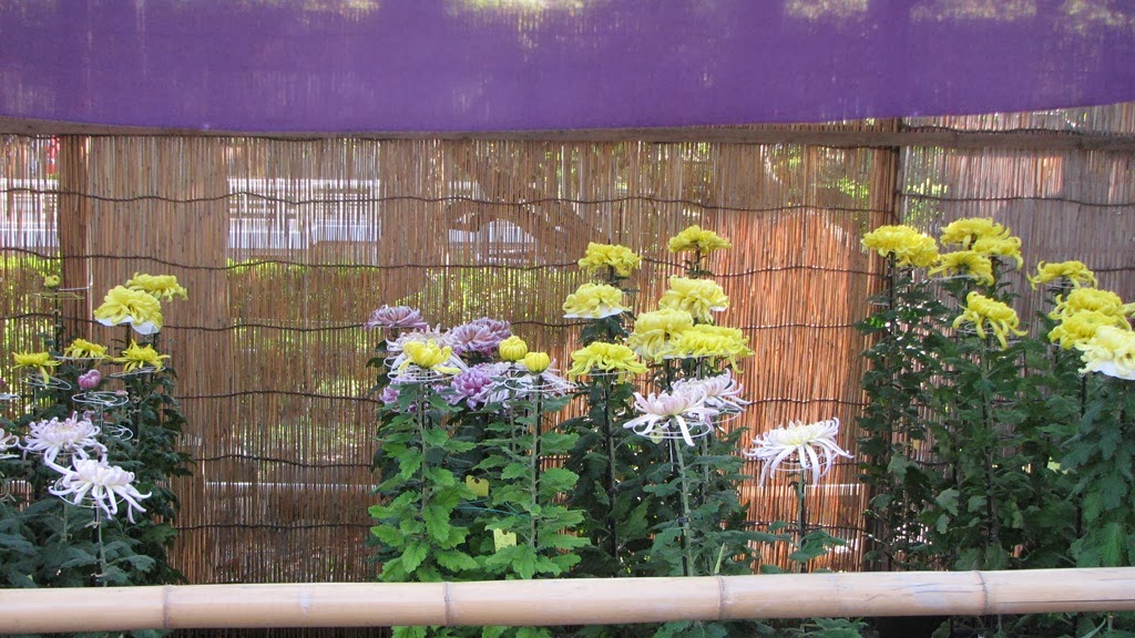 [IMG_4029%255B3%255D.jpg]