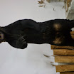 SAM_0491.JPG