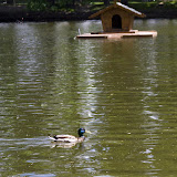 _MG_2473.jpg
