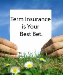 term-life-insurance