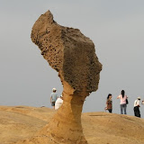 Queens head (picture from Internet)