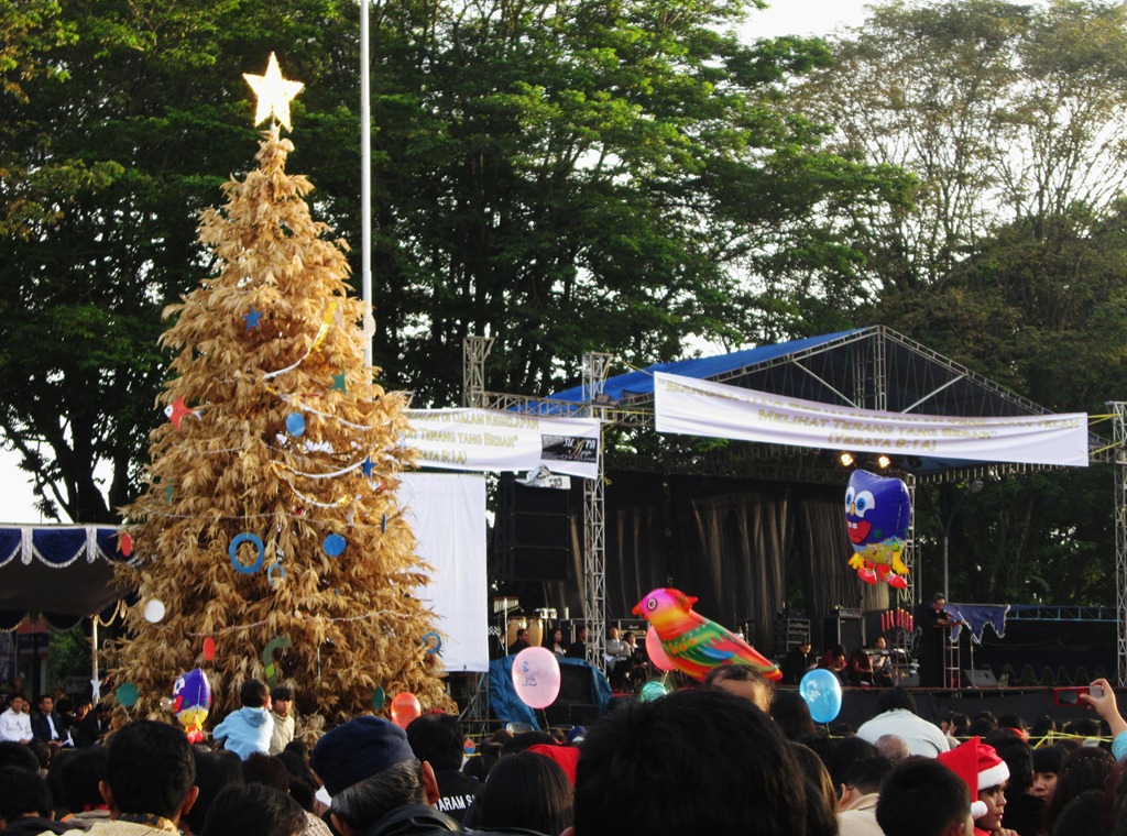 [IMG_1307%255B4%255D.jpg]