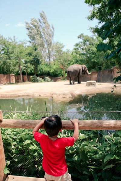 Zoo 18