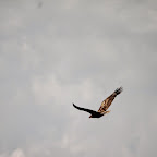 IMG_6576.JPG