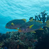 P7024242