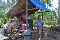 pinoyecofarm december _0121.JPG