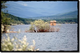 Cangrejos (9)
