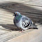 20100401_142.JPG