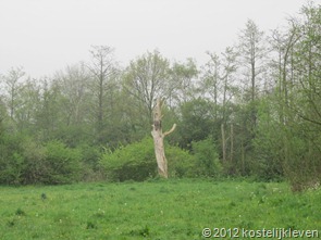 IMG_0643 IMG_0643