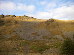 Dit opp skal vi, ca 240m.o.h