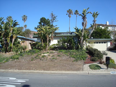 A massive pine tree was removed prior to my involvement, existing plantings dated and damaged, the driveway was badly cracked, and the property lacked curb appeal.