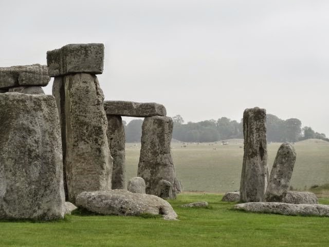 [DSC034014.jpg]