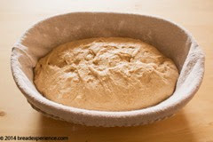 sprouted-kamut-flour-bread-1-12 sprouted-kamut-flour-bread-1-12