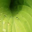 http://lh3.ggpht.com/-EpI_SgmYGTs/TqscI67IUkI/AAAAAAAABIc/8LBo_WYb1oA/s1600/IMG_9681.JPG