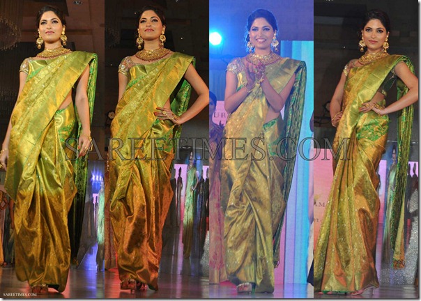 Parvathy_Omankuttan_Palam_Silk_Saree