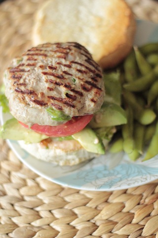 [20111216AsianTurkeyBurgers0162.jpg]
