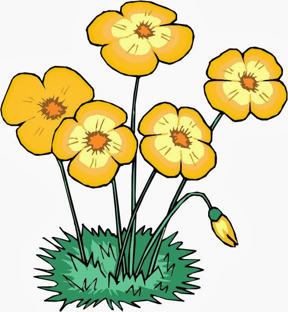 [Flowers_yellow%2520with%2520grass%255B4%255D.jpg]