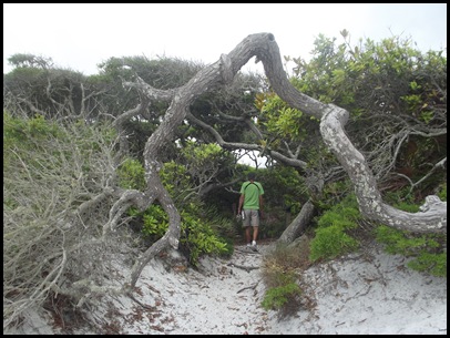 Dune hike & rain paddle 027