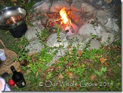 fire and roses and pomegranate fire and roses and pomegranate