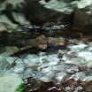 hokkaido_498.jpg