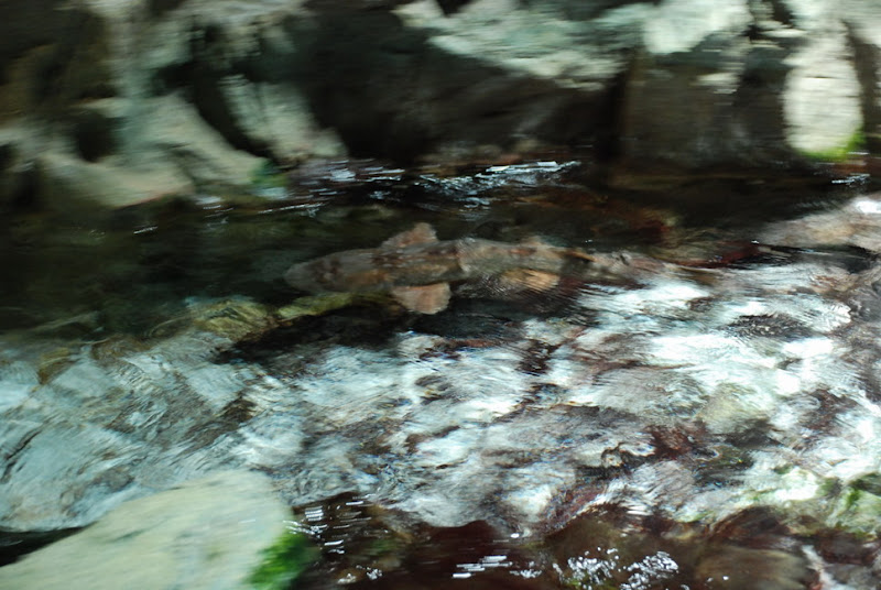 hokkaido_498.jpg