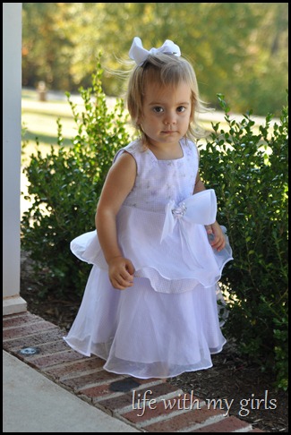 DSC_0778 DSC_0778