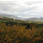 IMG_2173.jpg