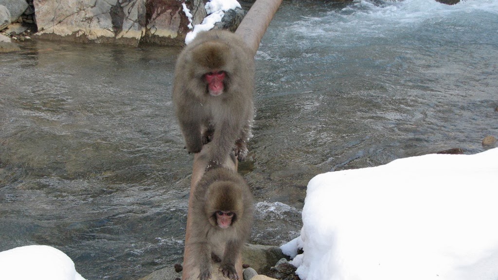 [IMG_4295%255B3%255D.jpg]