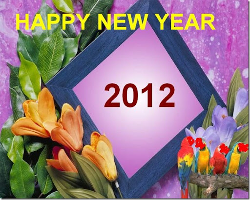 http://lh3.ggpht.com/-ErRIvG65sn0/TvwyKQHhobI/AAAAAAAAJk4/3uc_58c4mao/HAPPY%252520NEW%252520YEAR%2525202012%252520WALLPAPERS%25255B5%25255D.jpg