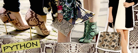 Estampa de cobra nas bolsas e sapatos: Dicas do Shopping Crystal – Inverno 2012. Estampa de cobra nas bolsas e sapatos: Dicas do Shopping Crystal – Inverno 2012.