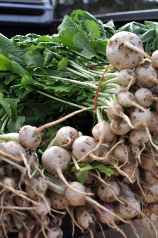 [fall%2520produce%25201112%2520%252835%2529%255B4%255D.jpg]