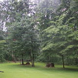 100_0512.JPG