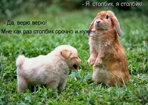 [1248340697_podpisi_7%5B6%5D.jpg]