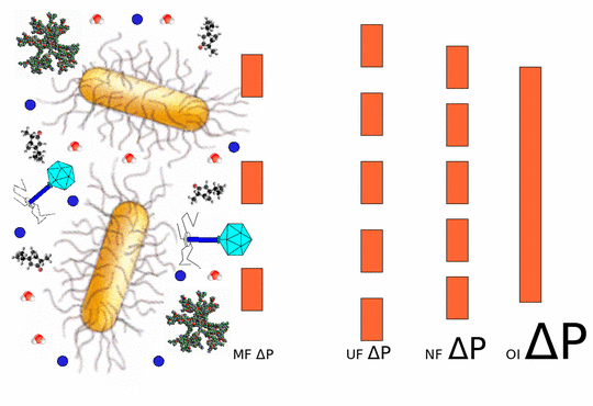 Nanofiltration Nanofiltration