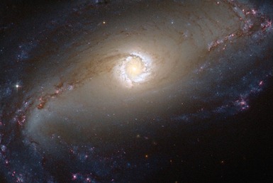 galáxia NGC 1097