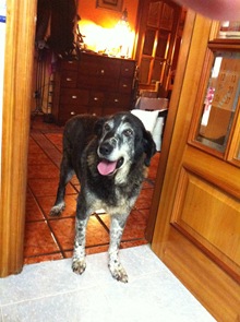 IMG_0500 IMG_0500