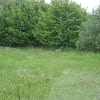dsc02857.jpg