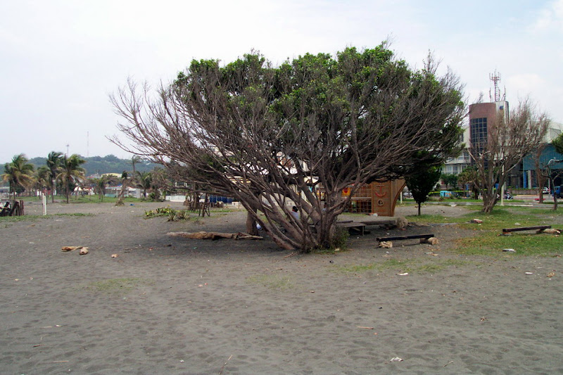 pic04.jpg