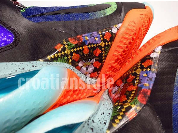 Detailed Look at Nike LeBron 9 8220What the LeBron8221 PE