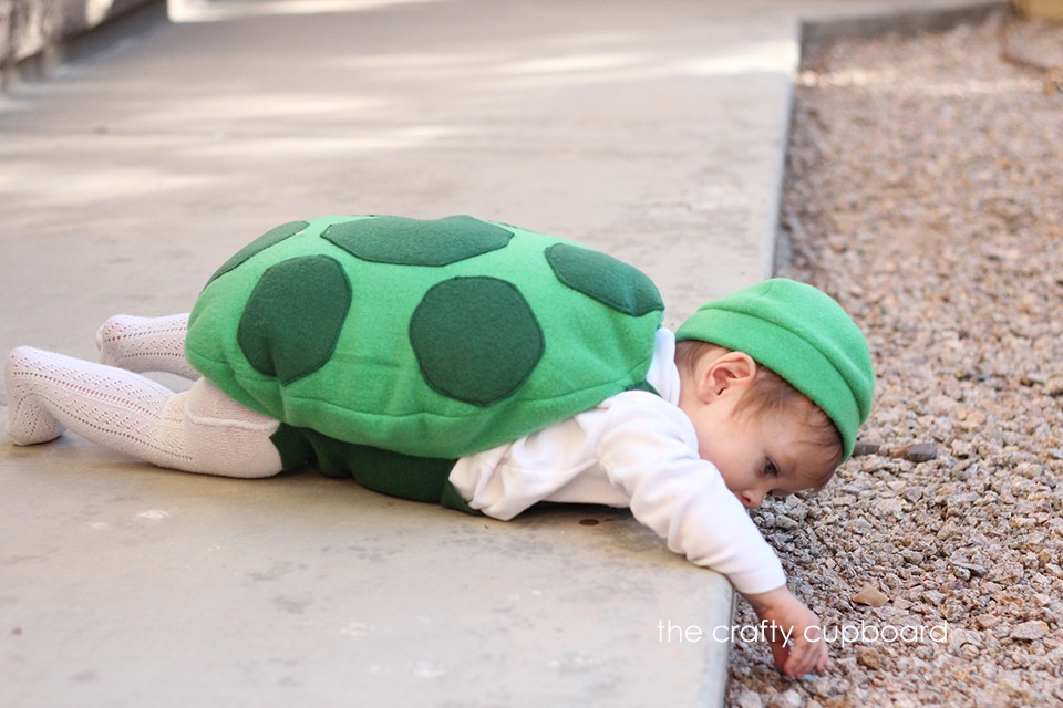 [Turtle%2520Shell%255B5%255D.jpg]